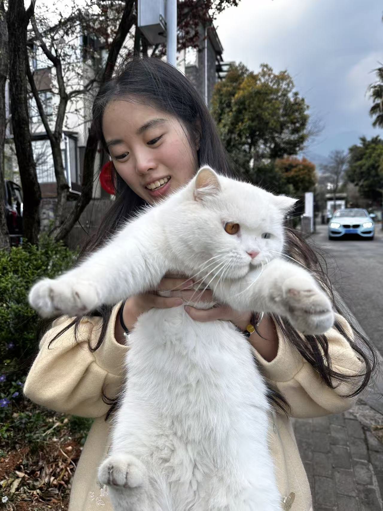 许琬苓在大理抱着白猫
