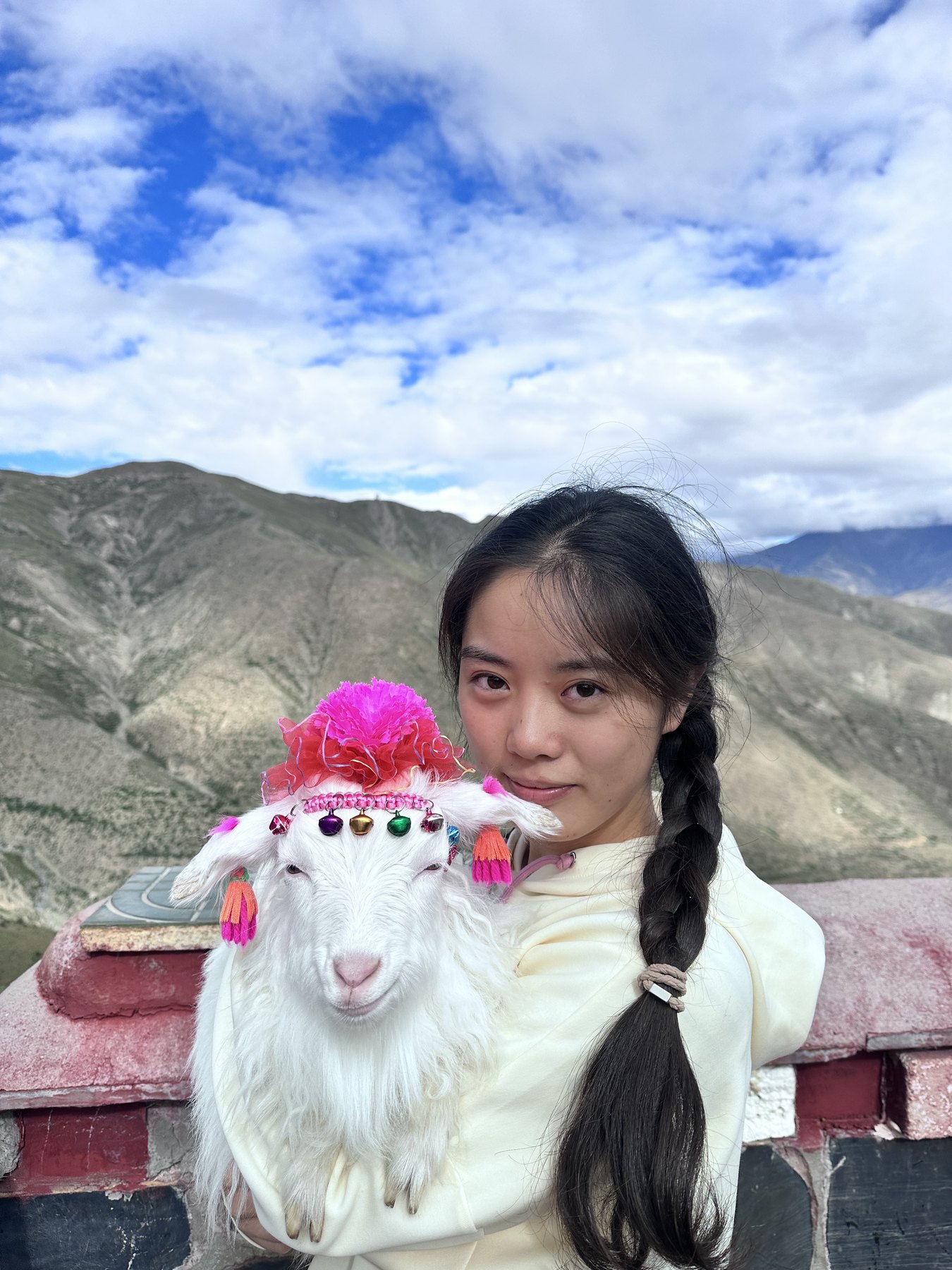 许琬苓在西藏山边抱着白色小羊